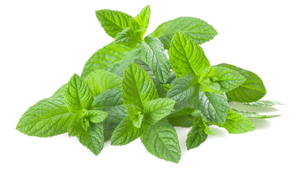 Citronu balzama ekstrakts Tonerin